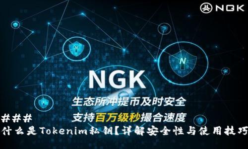 ### 
什么是Tokenim私钥？详解安全性与使用技巧