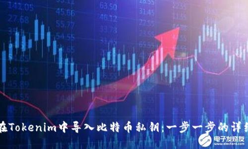 如何在Tokenim中导入比特币私钥:一步一步的详细指南