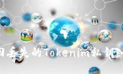如何找回丢失的Tokenim私钥：全面指南