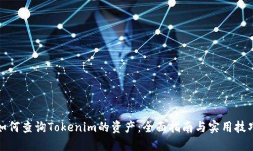 如何查询Tokenim的资产：全面指南与实用技巧