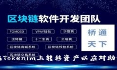 如何在Tokenim上转移资产以应对助词丢