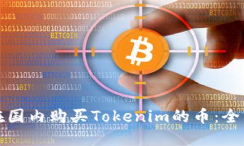如何在国内购买Tokenim的币:全面指南