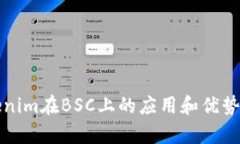 Tokenim在BSC上的应用和优势分析