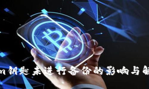 ###
Tokenim钥匙未进行备份的影响与解决方案