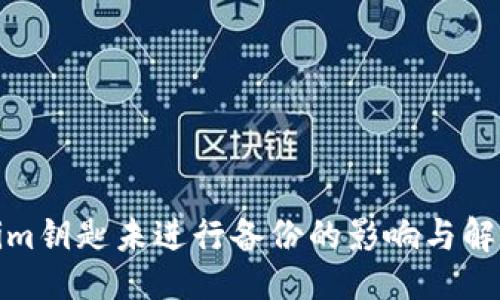###
Tokenim钥匙未进行备份的影响与解决方案