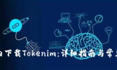 如何在国内下载Tokenim：详细指南与常