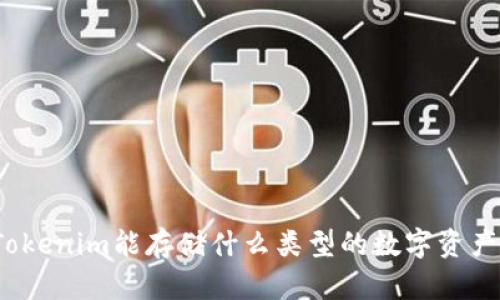 Tokenim能存储什么类型的数字资产?