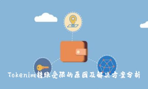 Tokenim转账受限的原因及解决方案分析