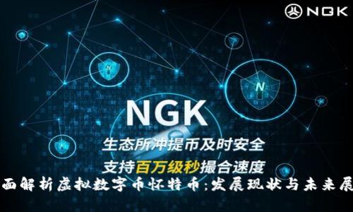 全面解析虚拟数字币怀特币：发展现状与未来展望