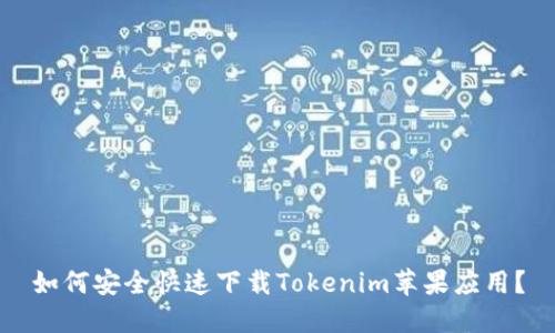 如何安全快速下载Tokenim苹果应用？