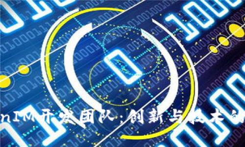 TokenIM开发团队：创新与技术的结合