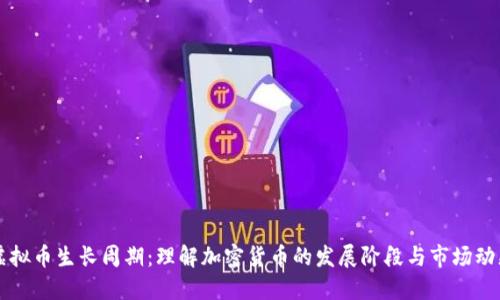 虚拟币生长周期:理解加密货币的发展阶段与市场动态