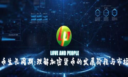 虚拟币生长周期:理解加密货币的发展阶段与市场动态