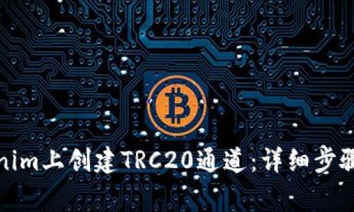 如何在Tokenim上创建TRC20通道:详细步骤与注意事项