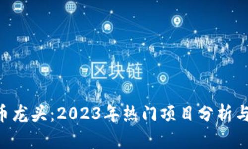 NFT虚拟币龙头:2023年热门项目分析与市场趋势