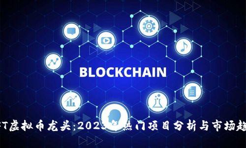 NFT虚拟币龙头:2023年热门项目分析与市场趋势