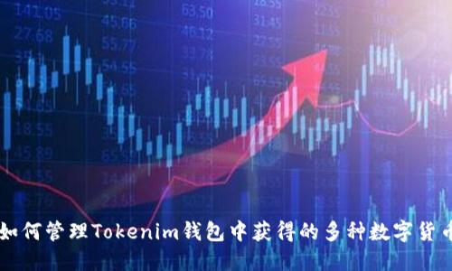 如何管理Tokenim钱包中获得的多种数字货币