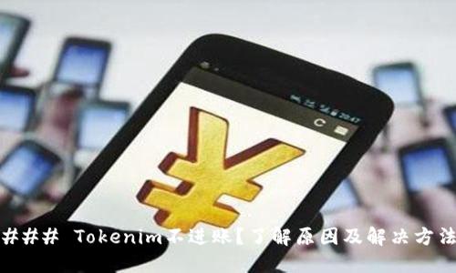 ### Tokenim不进账?了解原因及解决方法