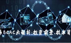 2023年虚拟币BCAC大解析：投资前景、技