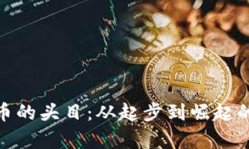 金元币虚拟币的头目：从起步到崛起的区块链传奇