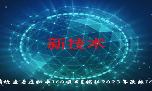 如何有效查看虚拟币ICO项目?揭秘2023年最热ICO趋势