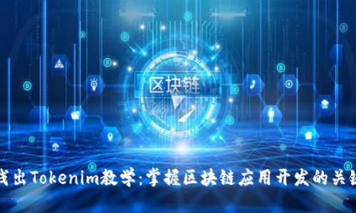 深入浅出Tokenim教学：掌握区块链应用开发的关键技巧