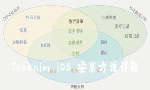 Tokenim iOS 安装方法详解