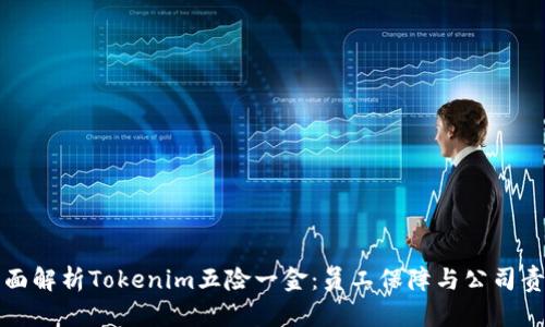 全面解析Tokenim五险一金:员工保障与公司责任