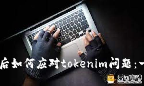 手机丢失后如何应对tokenim问题：一步步指导