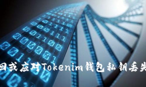 如何找回或应对Tokenim钱包私钥丢失的情况