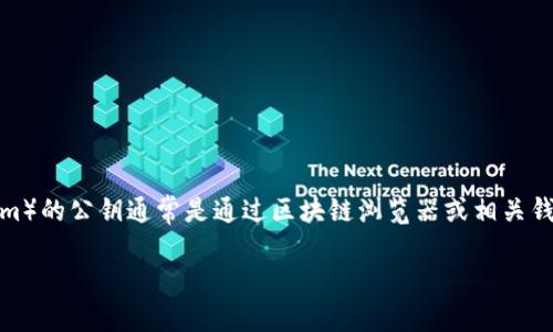 在区块链和加密货币领域,查看特定代币(如Tokenim)的公钥通常是通过区块链浏览器或相关钱包软件进行的。下面将为您提供相关的内容和大纲。
如何查看Tokenim的公钥及相关信息