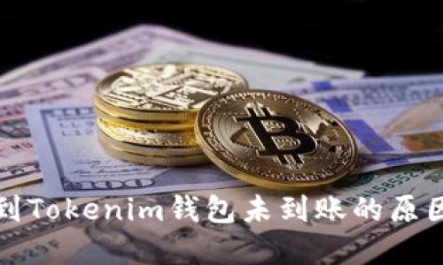 MDX币转账到Tokenim钱包未到账的原因及解决方案
