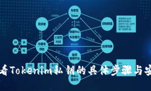 如何查看Tokenim私钥的具体步骤与安全提示