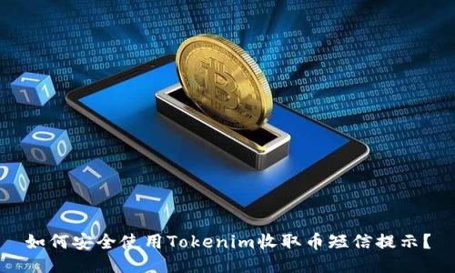 如何安全使用Tokenim收取币短信提示？