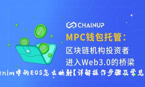 Tokenim中的EOS怎么映射？详解操作步骤及常见问题
