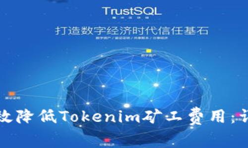 如何有效降低Tokenim矿工费用：详细指南