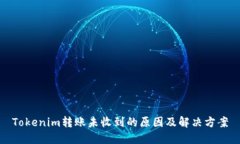 Tokenim转账未收到的原因及解决方案