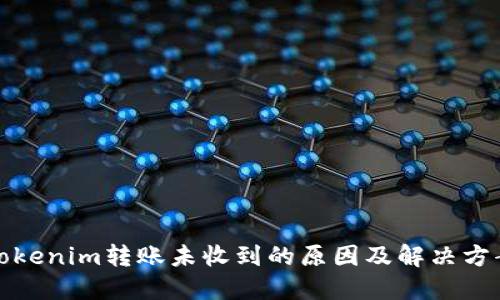 Tokenim转账未收到的原因及解决方案