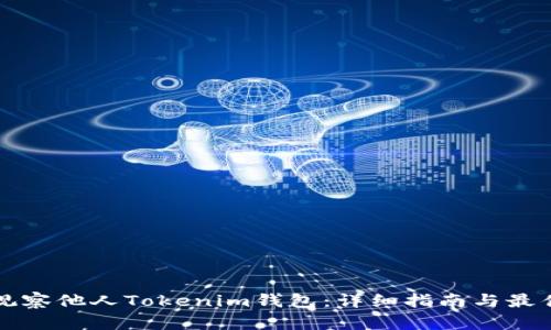 如何观察他人Tokenim钱包:详细指南与最佳实践