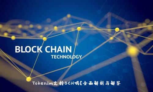 Tokenim支持BCH吗？全面解析与解答