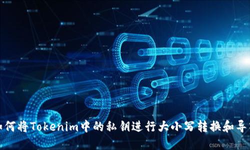 如何将Tokenim中的私钥进行大小写转换和导入
