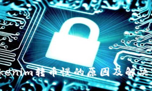  Tokenim转币慢的原因及解决方案