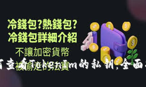 如何查看TokenIm的私钥：全面指南