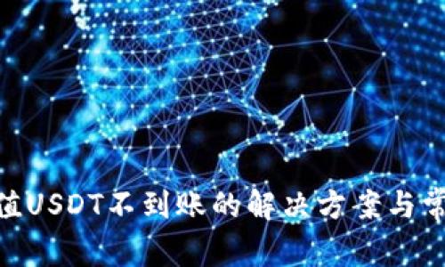 Tokenim充值USDT不到账的解决方案与常见问题解析