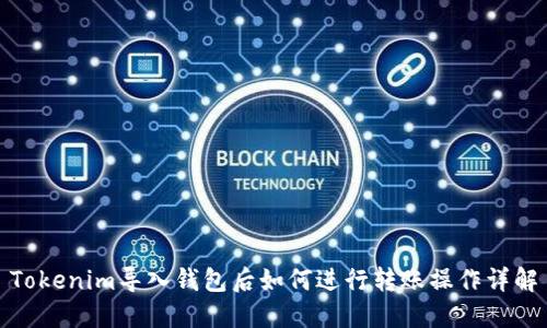 Tokenim导入钱包后如何进行转账操作详解