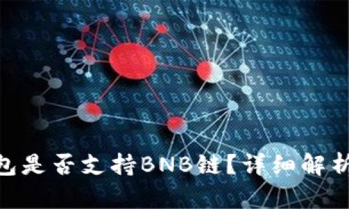 Tokenim钱包是否支持BNB链?详细解析及使用指南