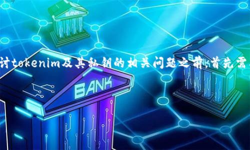 私钥是加密货币和区块链技术中一个非常重要的概念，涉及到用户对其资产的控制。在探讨tokenim及其私钥的相关问题之前，首先需要清楚的是，私钥通常是您加密货币钱包的核心组成部分，它对于确保资产安全至关重要。

### 

Tokenim私钥的管理与安全策略