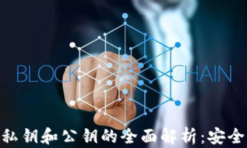 
Tokenim私钥和公钥的全面解析：安全性与应用