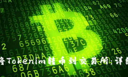 如何将Tokenim转币到交易所：详细指南