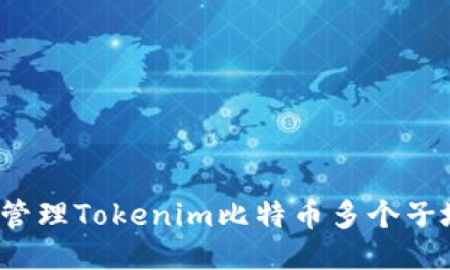 如何管理Tokenim比特币多个子地址？